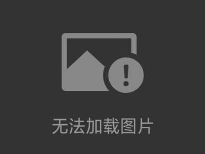 德國BAUMER0300.GR-11110414備件